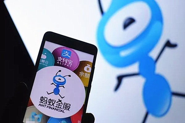 陌生社交APP推出时间？