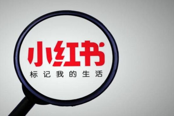 安卓下载双小红书攻略